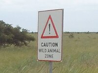 PH000013 (1).jpg PH000013 (1).jpg