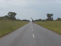 PH000001 (2).jpg PH000001 (2).jpg