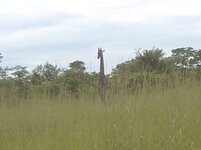 PH000004 (1).jpg PH000004 (1).jpg