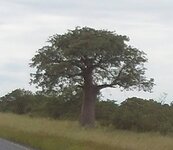 PH000007 (3).jpg PH000007 (3).jpg