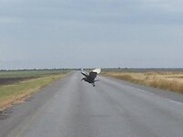 PH000021 (2).jpg PH000021 (2).jpg
