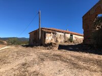 IMG_9319.jpg