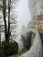 5256B6E2-9F17-4CA3-9E66-7160D9151840.jpg