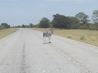PH000077 (1).jpg PH000077 (1).jpg