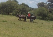 PH000096 (1).jpg PH000096 (1).jpg