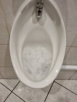 20220118_095352.jpg