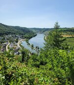 20220617_153351.jpg