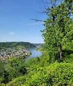 20220617_153348.jpg