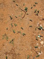 20220119_132928.jpg 20220119_132928.jpg