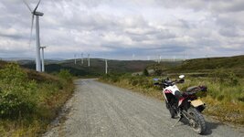 IMG_20210702_164259.jpg