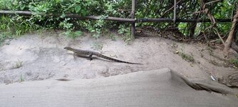 20220213_160951.jpg 20220213_160951.jpg