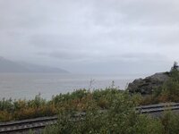 IMG_1732.jpg