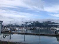 IMG_1749.jpg