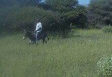 PH000100 (1).jpg PH000100 (1).jpg