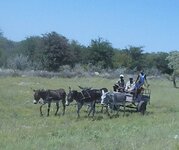 PH000172 (1).jpg PH000172 (1).jpg