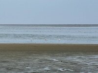 20220122_141833.jpg 20220122_141833.jpg