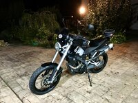 IMG_4697.jpg