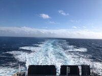 IMG_9465.jpg