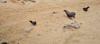 20220123_120915.jpg 20220123_120915.jpg