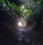 eynsford-4.jpg