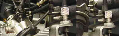 50626797-L.jpg