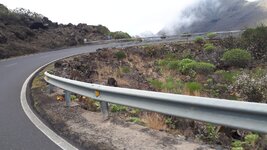 IMG-20220123-WA0004.jpg