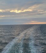 20220723_055405.jpg