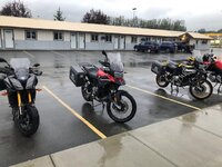 IMG_1779.jpg
