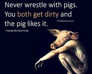 Pig.jpg