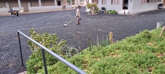 20220129_080706.jpg 20220129_080706.jpg