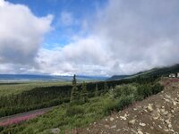 IMG_1805.jpg