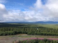 IMG_1804.jpg