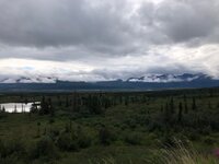 IMG_1812.jpg