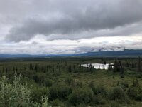 IMG_1813.jpg