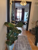 20220917_180941.jpg