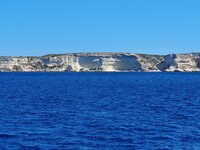 20220923_124026.jpg