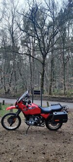 R100GS Devil.jpg