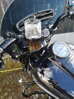 IMG_20220521_171216.jpg