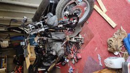 IMG_20220405_170712246.jpg