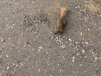 IMG_1880.jpg