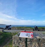 20221026_093259.jpg