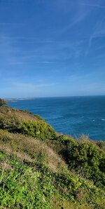 20221026_110044.jpg