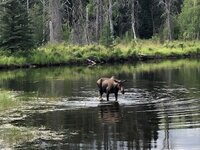 IMG_1901.jpg