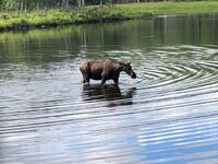 IMG_1902.jpg