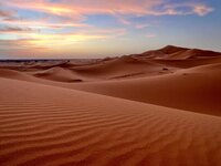 54786880-7D0B-4CA0-9AB9-8B35A8D5A3C6.jpg