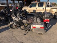 IMG_1951.jpg
