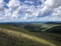 IMG_1985.jpg