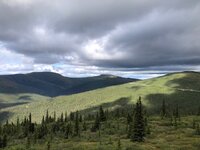 IMG_2048.jpg