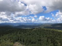 IMG_2049.jpg