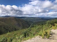 IMG_2062.jpg